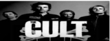  THE CULT 